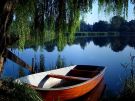 Pension Am See - Bed and Breakfast in Falkensee